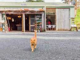 Book Video Conference Rooms in MATAKANA